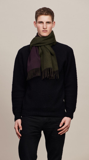 Muscat & Loden Solid On Solid Double Face Scarf