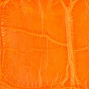 1 3/16" Wide Matte Alligator  Dog Collar (Orange)