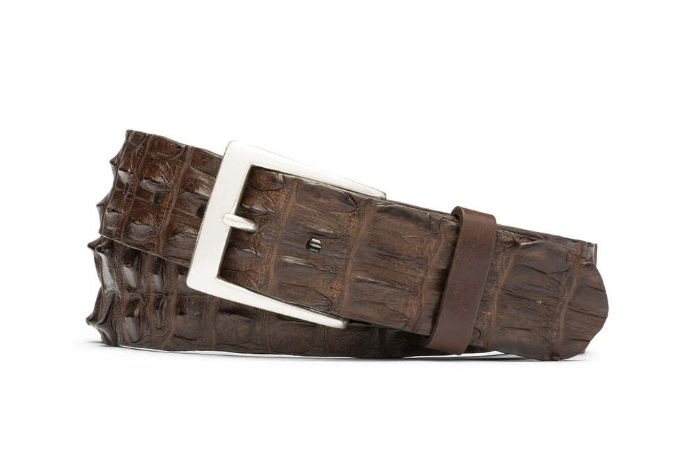 Chocolate Hornback Crocodile Tail Belt with Brushed Nickel Buckle
