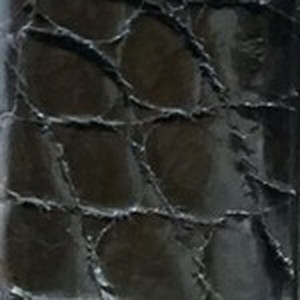Black Glazed American Alligator Belt with Nickel Buckle