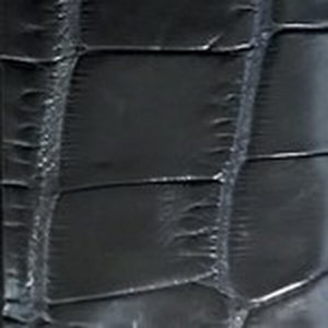 Black Hornback Alligator Tail Belt with Nickel Buckle