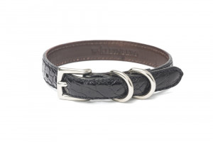 1/2" Wide Polished Alligator Dog Collar (Black)