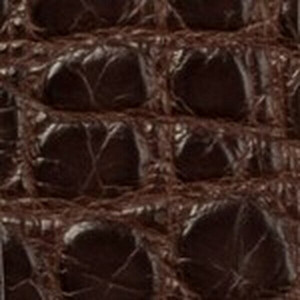 1 3/16" Wide Matte Alligator  Dog Collar (Chocolate)