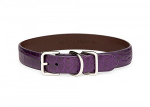 1" Wide Polished Alligator Dog Collar (Violet)