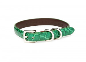 1/2" Wide Polished Alligator Dog Collar (Grass Green)