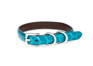 1/2" Wide Polished Alligator Dog Collar (Turquoise)