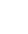 LionsHead Michael Andrews Bespoke Lion's Head