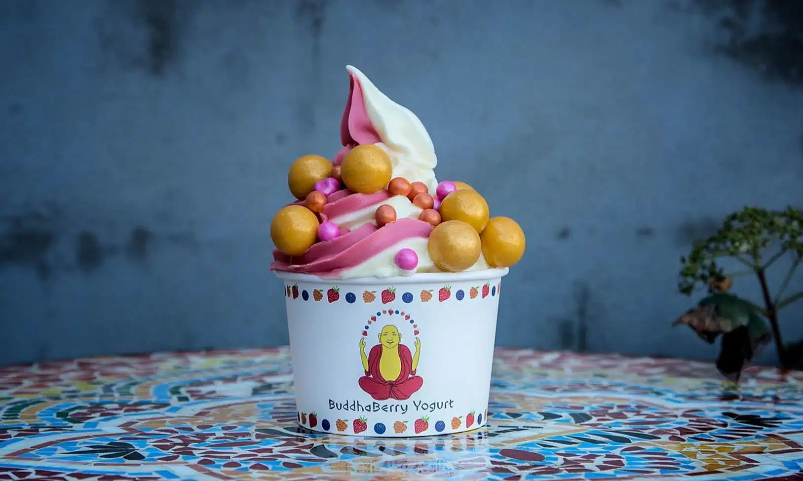 Buddha Berry, Sag Harbor Buddha Berry, Sag Harbor