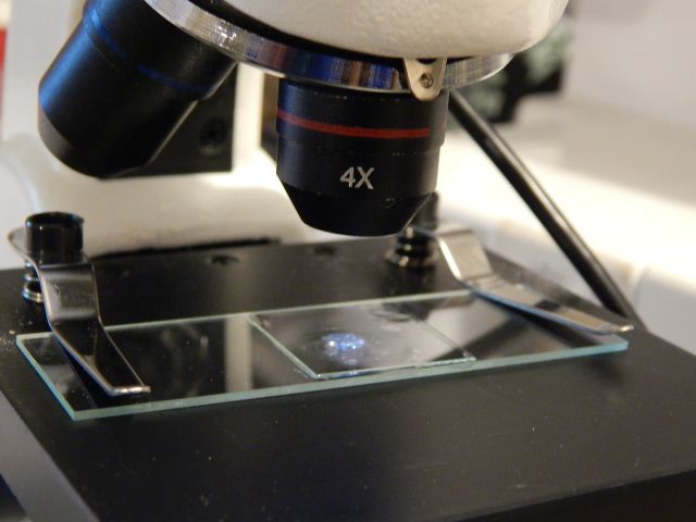 shatnez testing Close-up of a microscope examining a fabric sample on a slide