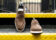 (product) Brera Classic Suede Tundra Loafer, Front view of the pair