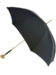 (product) Gold Lion Head Umbrella, Open view