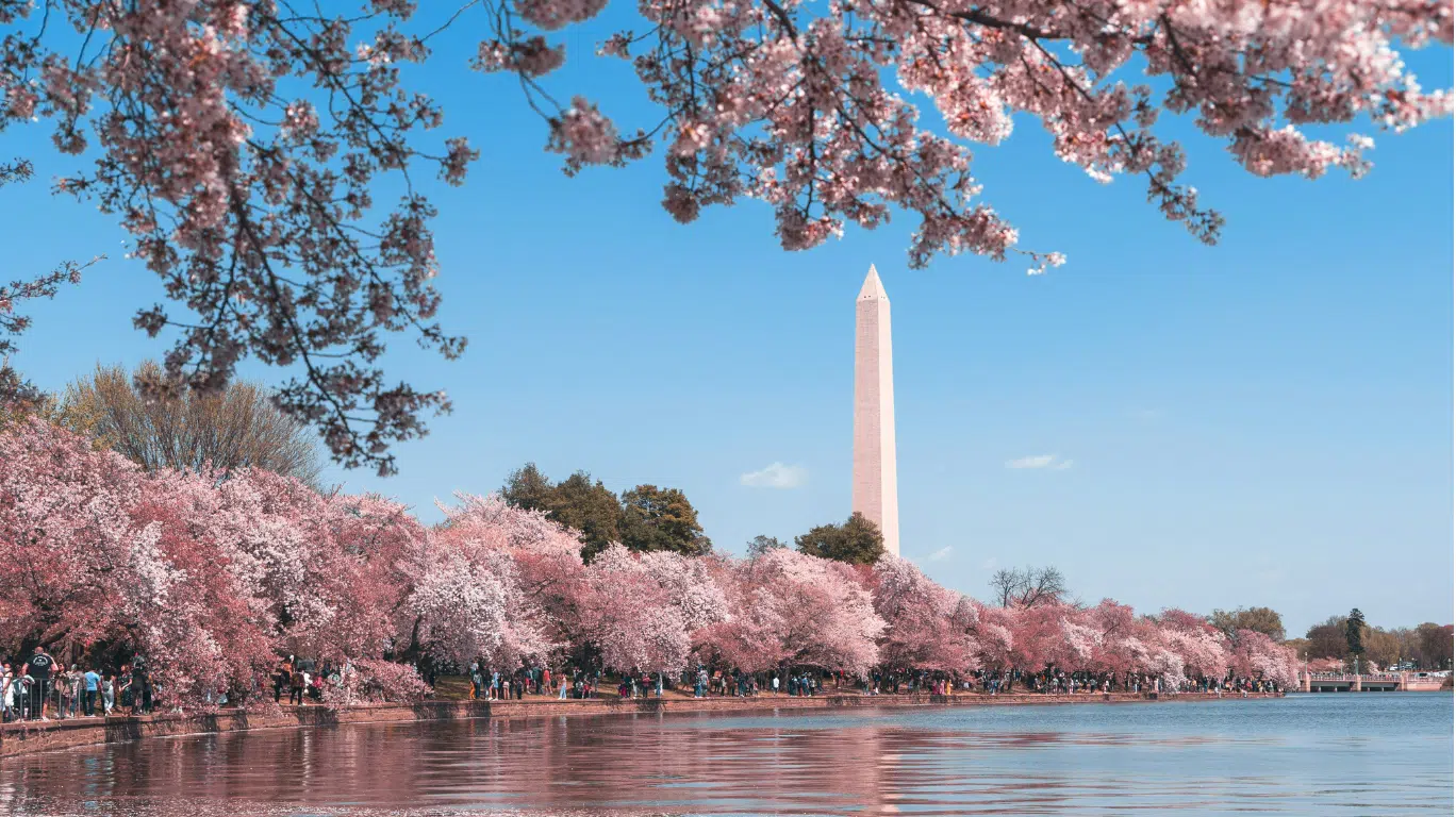 washington monument MAB trunk show