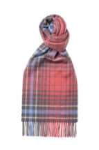 Lobster x Grey Plaid Cashmere Scarf
